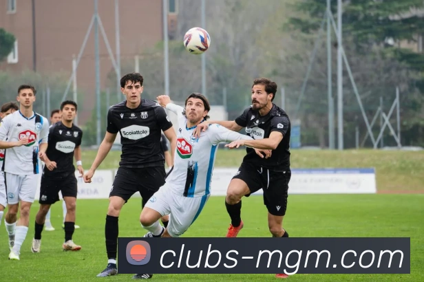 美高梅官网服务体系